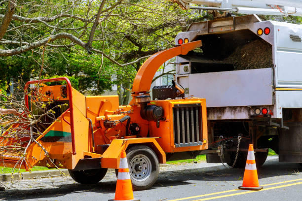 Seasonal Cleanup (Spring/Fall) in Manchester, KY