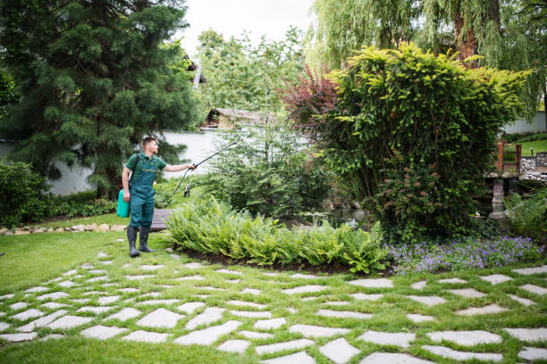 Reliable Manchester, KY Tree Services Solutions