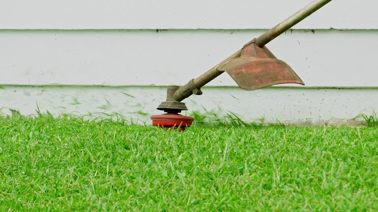 How Our Tree Care Process Works  in  Manchester, KY
