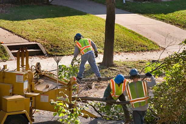  Manchester, KY Tree Services Pros